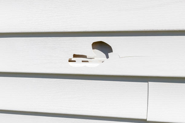 Best Insulated Siding Installation  in Anacoco, LA